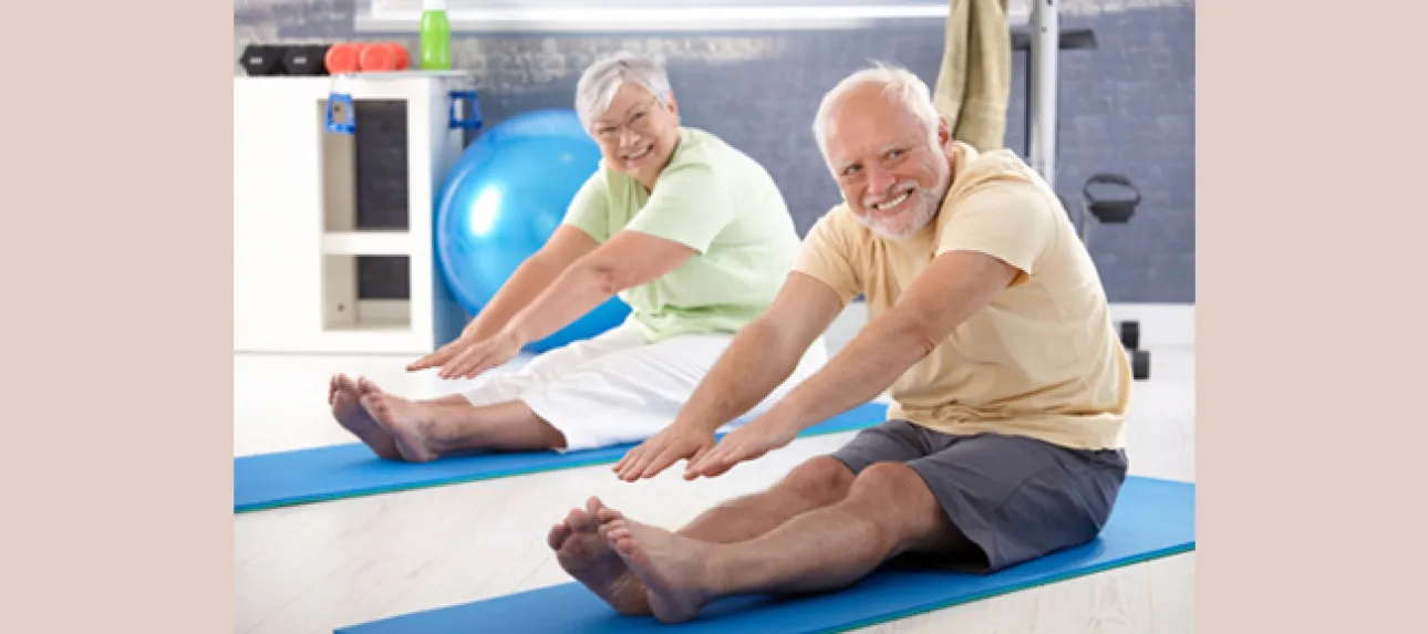 Un programme pour étudier les muscles des seniors