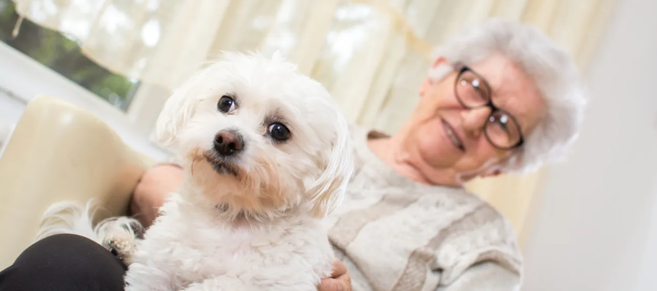 Un chien de compagnie pour améliorer le bien-être des seniors !