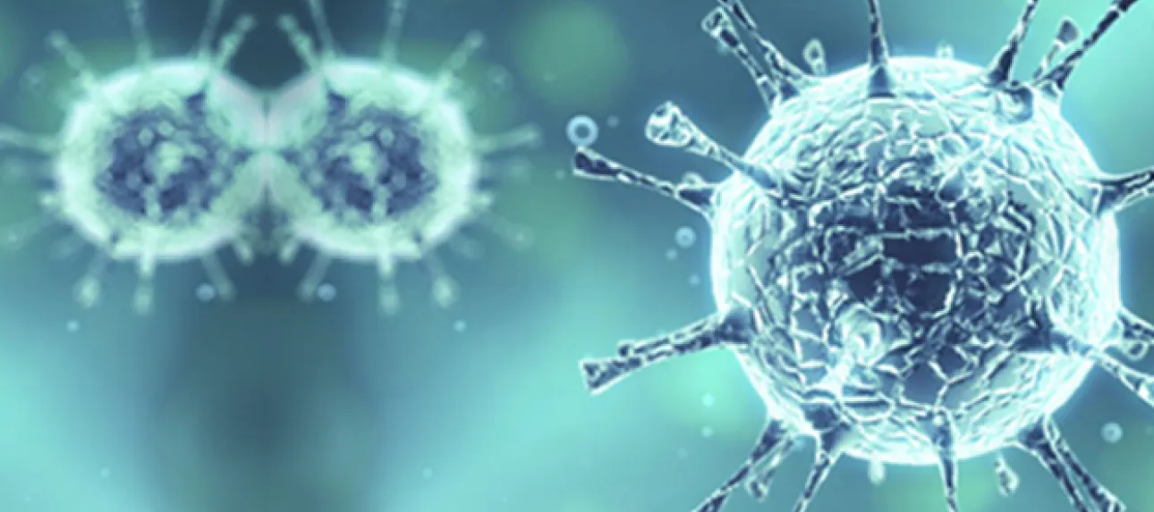 Virus d'hiver : comment s'en protéger