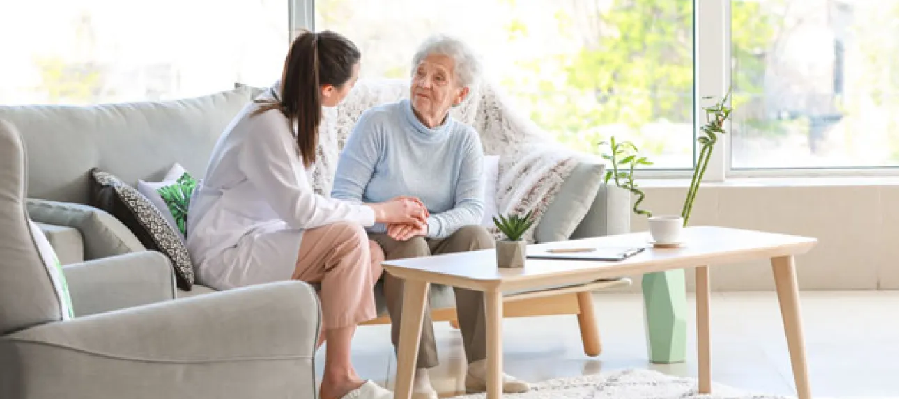 Seniors aide services