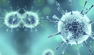 Virus d'hiver : comment s'en protéger