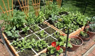 Que faire au jardin à l'automne ?