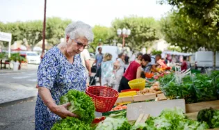 regions ou les seniors souffrent le plus de perte autonomie INSEE 