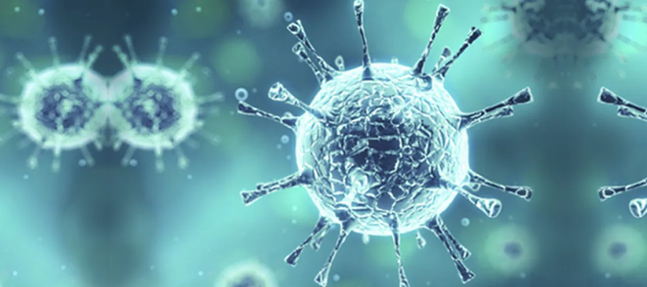 Virus d'hiver : comment s'en protéger