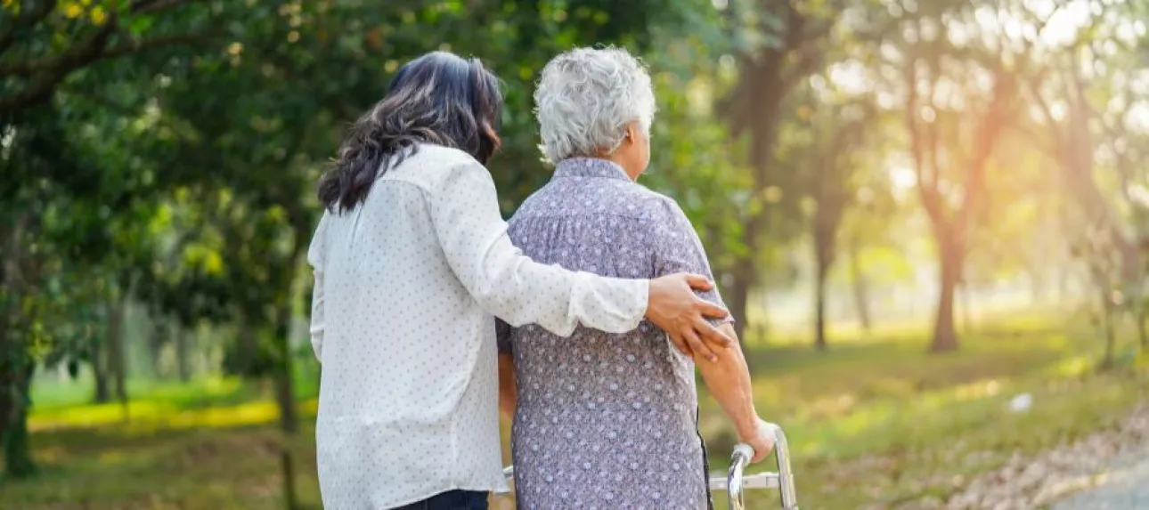 compagnons du voyage