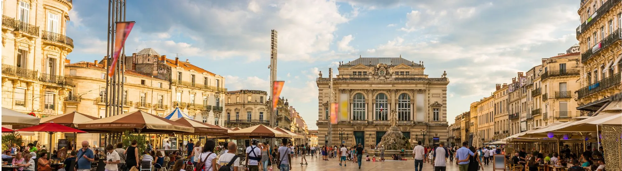 teleassisatnce montpellier