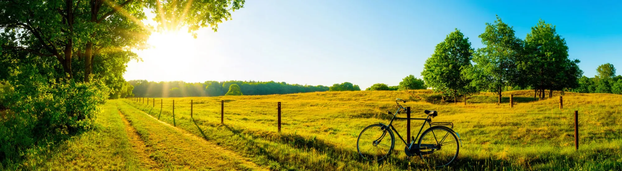 Teleassistance-dans-votre-region.